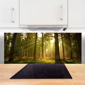 Panel Kuchenny Bór Sosnowy W Słońcu