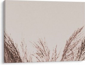 Obraz - Suszona trawa (70x50 cm)