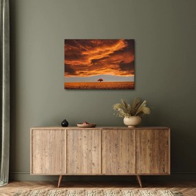 Obraz chmur (70x50 cm)