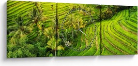 Obraz - Pola ryżowe (z zegarem) (90x30 cm)