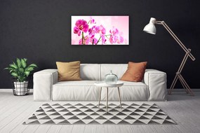 Obraz Canvas Kwiaty Roślina Natura