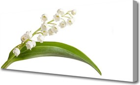 Obraz drukowany na płótnie Letnia Kompozycja Botaniczna