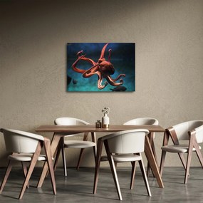 Obraz - Ośmiornica (70x50 cm)