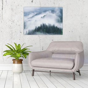 Obraz - Drzewa we mgle (70x50 cm)