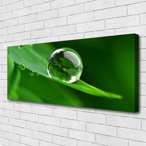 Zdjęcie na płótnie Krople Rosy na Liściu