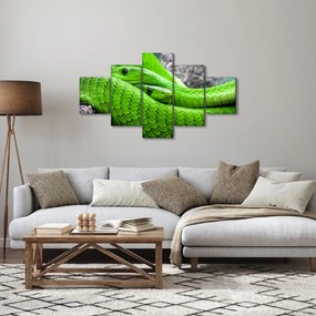 Obraz zielonych węży (125x70 cm)