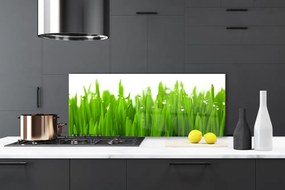 Panel Kuchenny Trawa Natura Roślina