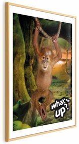 Plakat What's Up 21x30 cm z ramą złotą z marginesem ARTGEIST B
