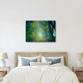 Obraz na szkle - droga wysadzana drzewami (70x50 cm)
