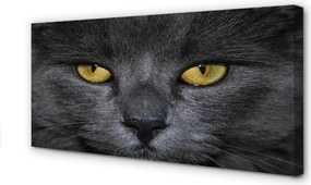 Obraz na płótnie Elegancki Czarny Kot