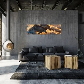 Obraz - Delfiny (170x50 cm)