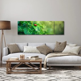 Obraz - Biedronka (170x50 cm)