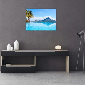 Obraz - Palmy i plaże (70x50 cm)