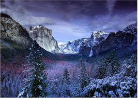 Obraz - Yosemite, USA (70x50 cm)