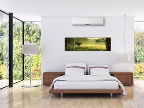 Obraz - Budzący się las (170x50 cm)