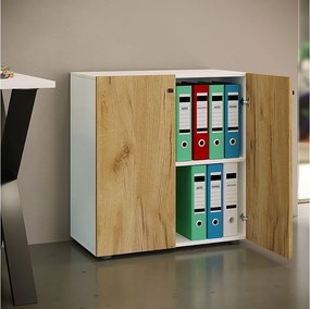 Szafka biurowa z kartoteką Lona 2-krotna