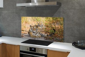 Panel szklany do Kuchni Królewska Para Tygrysów