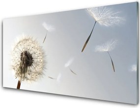 Panel Szklany do Kuchni Ulotne Nasiona Dmuchawca