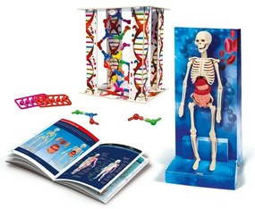 Clementoni  Laboratorium Dziecięce - Ludzkie ciało