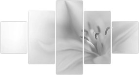 Obraz - Delikatna lilia (125x70 cm)