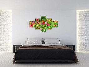 Obraz kwiatów polnych (125x70 cm)