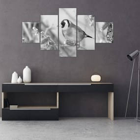 Obraz - Ptak zimą (125x70 cm)