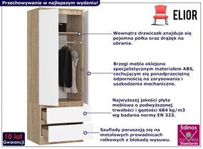 Skandynawska Dwudrzwiowa Szafa Dąb Sonoma + Biały Labis