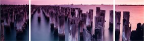 Obraz drewnianych palików (170x50 cm)