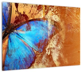 Obraz - Niebieski motyl (70x50 cm)