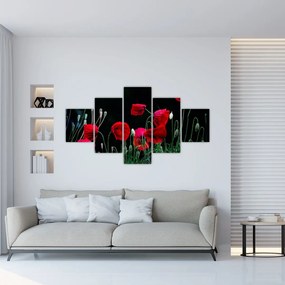 Obraz - Taniec maków (125x70 cm)