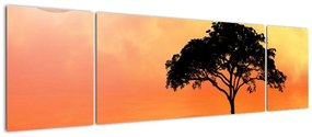 Obraz drzewa o zachodzie słońca (170x50 cm)
