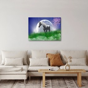 Obraz jednorożca (70x50 cm)