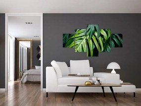 Obraz - Tropikalne liście (125x70 cm)