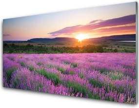 Panel Szklany Lawendowy Zmierzch na Polu