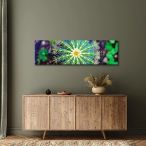 Obraz kaktusa (170x50 cm)