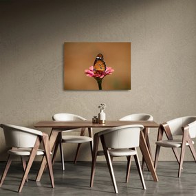 Obraz na szkle - motyl na kwiatku (70x50 cm)