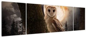 Obraz sowy palonej (170x50 cm)