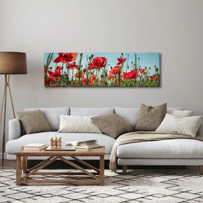 Obraz - Na polu maków (170x50 cm)