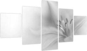 Obraz - Delikatna lilia (125x70 cm)