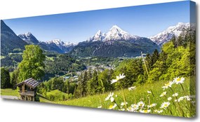 Obraz na płótnie Pola u Podnóża Majestatycznych Gór