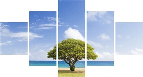 Obraz plaży z drzewem (125x70 cm)