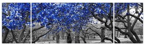 Obraz - Niebieskie drzewa, Central Park, New York (170x50 cm)