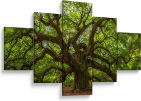 Obraz - Zielone drzewo (125x70 cm)