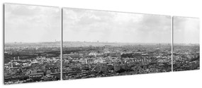 Obraz - Dachy domów w Paryżu (170x50 cm)