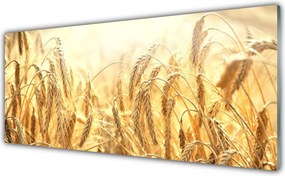Panel Szklany Dojrzałe Kłosy Zboża