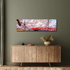Obraz - Hirosaki, Japonia (170x50 cm)