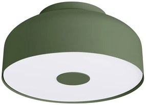 Zielony nowoczesny plafon sufitowy  B9-T45