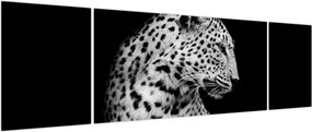 Obraz - Lampart (170x50 cm)