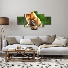 Obraz małp (125x70 cm)