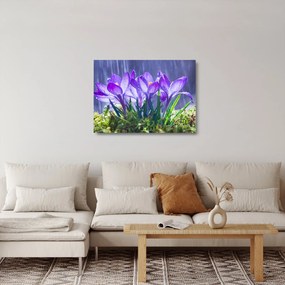 Obraz na szkle - kwiaty w deszczu (70x50 cm)